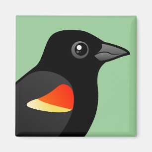 Röd-påskyndad Blackbird Magnet