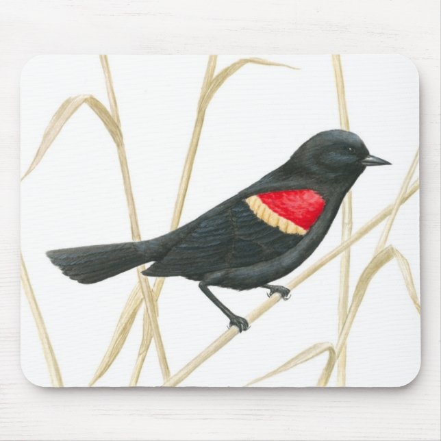 Röd-Påskyndad Blackbird Mousepad Musmatta (Framsidan)