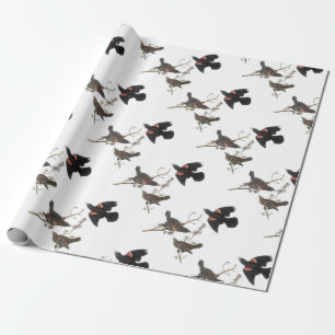 Röd-påskyndad Blackbird vid Audubon Presentpapper