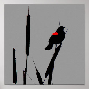 Röd-påskyndad Blackbirdaffisch Poster