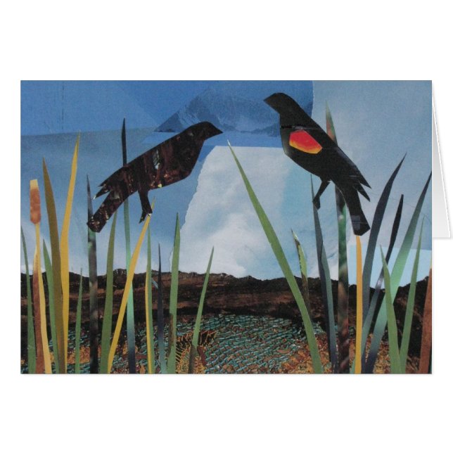 Röd-påskyndade Blackbirds OBS Kort (Framsidan Horizontal)