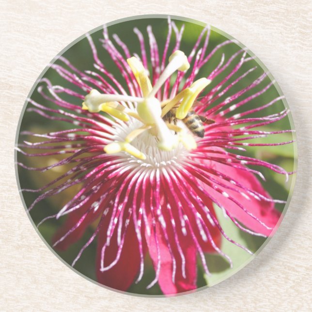 Röd passionblomma med biet underlägg (Framsidan)