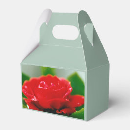 Röd passionsros täckt med daggdroppar  presentaskar