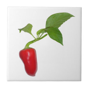 Röd peppar kakelplatta