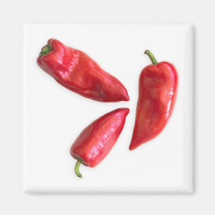 Röd peppar magnet