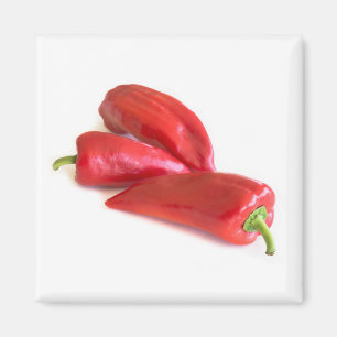 Röd peppar magnet