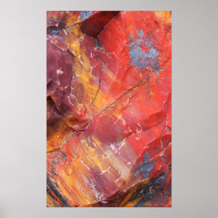Röd Petrified-trädetalj, Arizona Poster