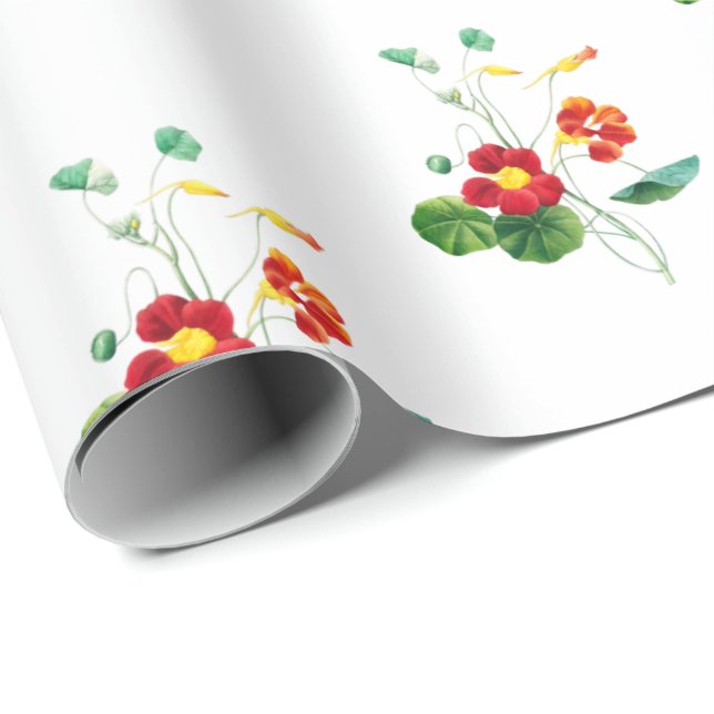 Röd pilört II Dröm: Vintage Botanisk  Presentpapper (Rullad Hörn)