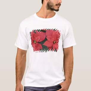 Röd Poinsettia detalj (Euphorbia pulcherrima) T Shirt