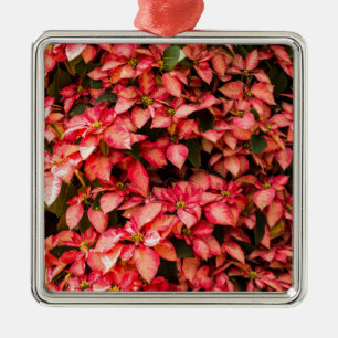 Röd Poinsettia julblomma Julgransprydnad Metall