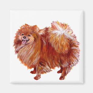 Röd pomeranian magnet