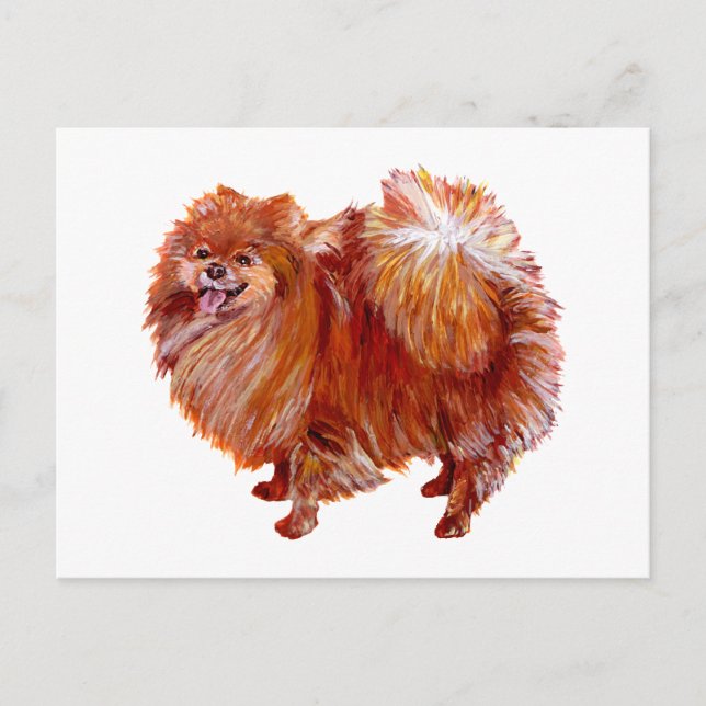 Röd pomeranian vykort (Framsida)