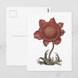 Röd poppy anemoneblomma vykort