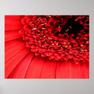 Röd Poster