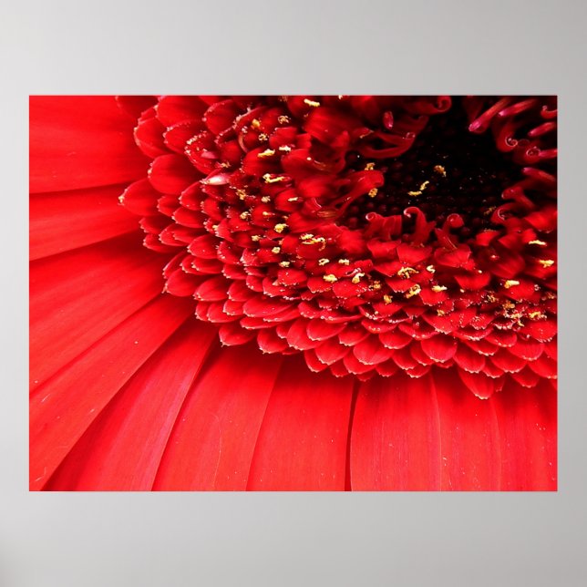 Röd Poster (Framsidan)