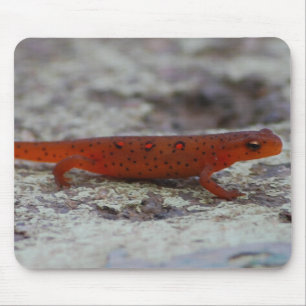 Röd prickig Newtmousepad Musmatta