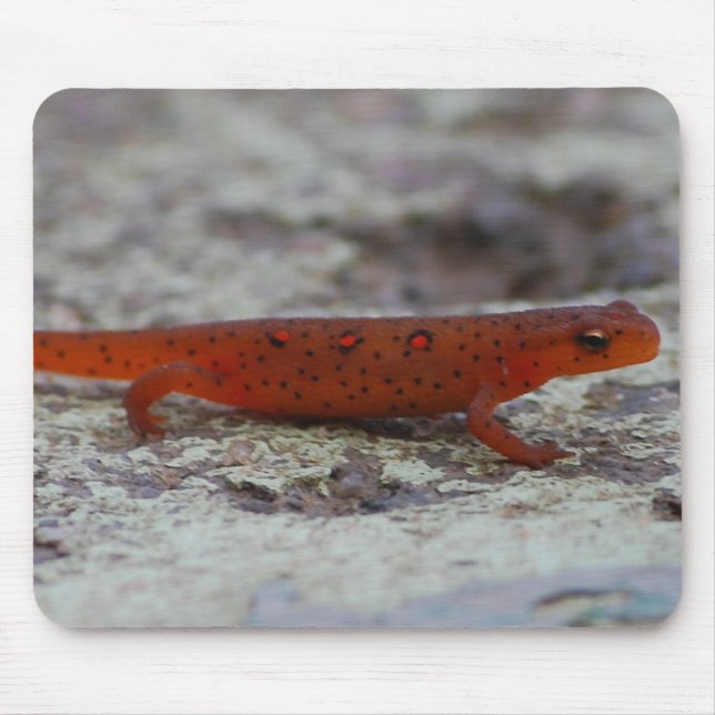 Röd prickig Newtmousepad Musmatta (Framsidan)