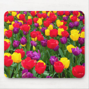 Röd, purpurfärgad gul tulpanmousepad musmatta