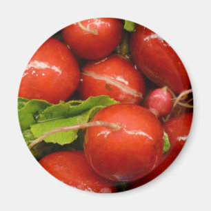 Röd rädisa magnet