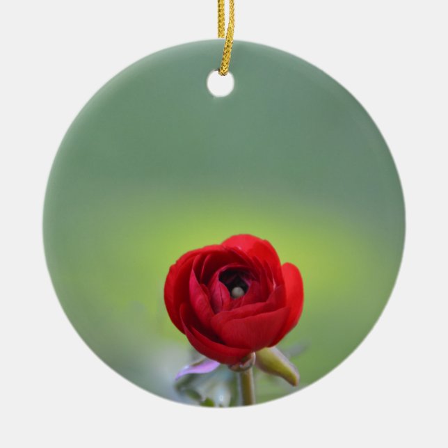 Röd Ranunculus-blomma Julgransprydnad Keramik (Framsidan)