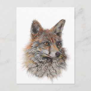 röd räv ansikte art vykort