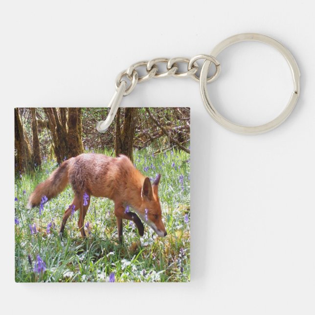 Röd Räv Blåklockor Skogsmark Vilda Djur Present (Baksidan)
