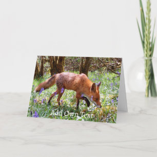Röd Räv i Blåbells Blomsterträdgård Natur Kort