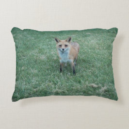 Röd räv i Kalifornien San Jose Prydnadskudde