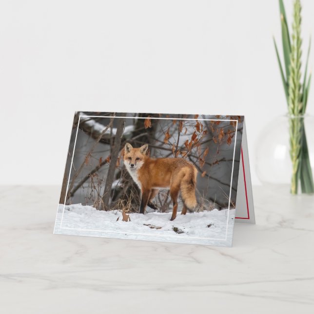 Röd Räv i Snö Julkort Helgkort (Framsida)
