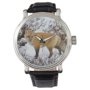 Röd räv i snö på vintern armbandsur