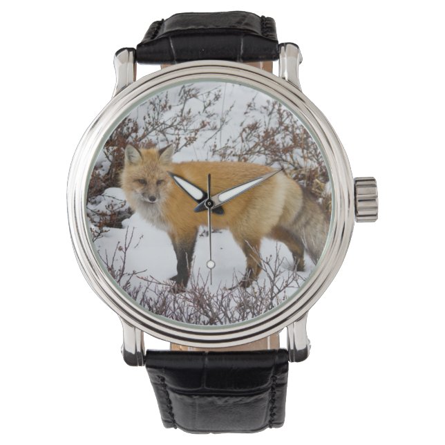 Röd räv i snö på vintern armbandsur (Framsida)