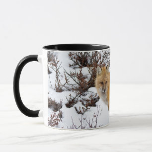 Röd räv i snö på vintern mugg