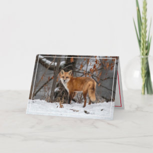Röd räv i snön julkort helgkort