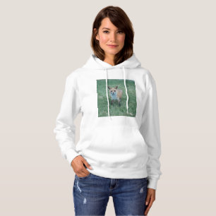 Röd räv i Thousand oaks park T Shirt