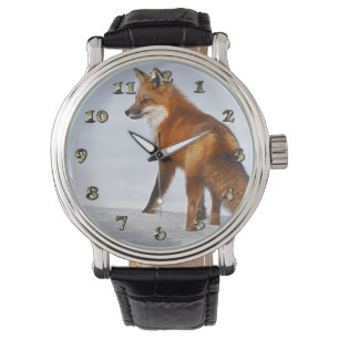 Röd räv i Winter Snö Armbandsur