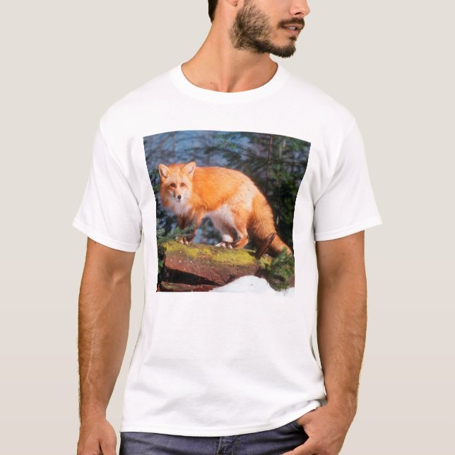 Röd Räv på en stock Tröja (Framsida)