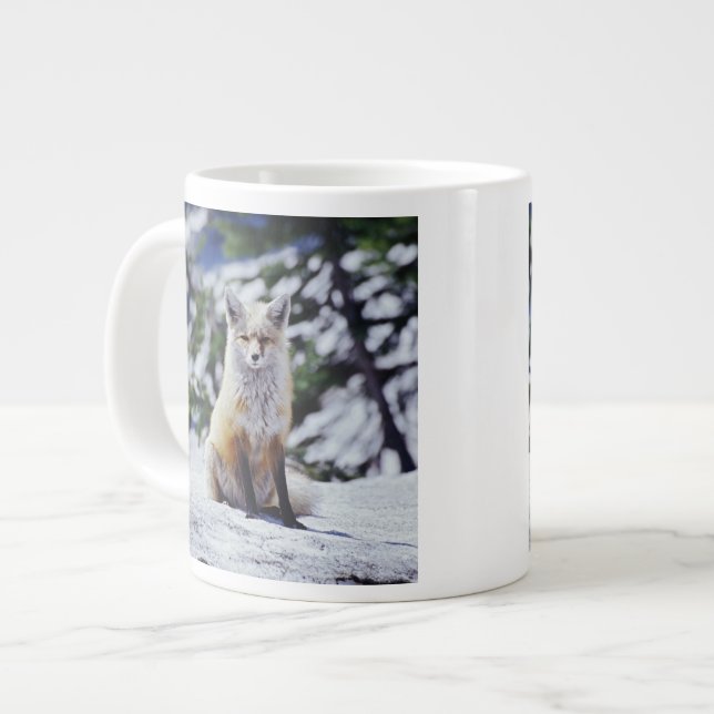 Röd räv sittande på snöbank, Vulpes, Mt. Jumbo Mugg (Framsida vänster)