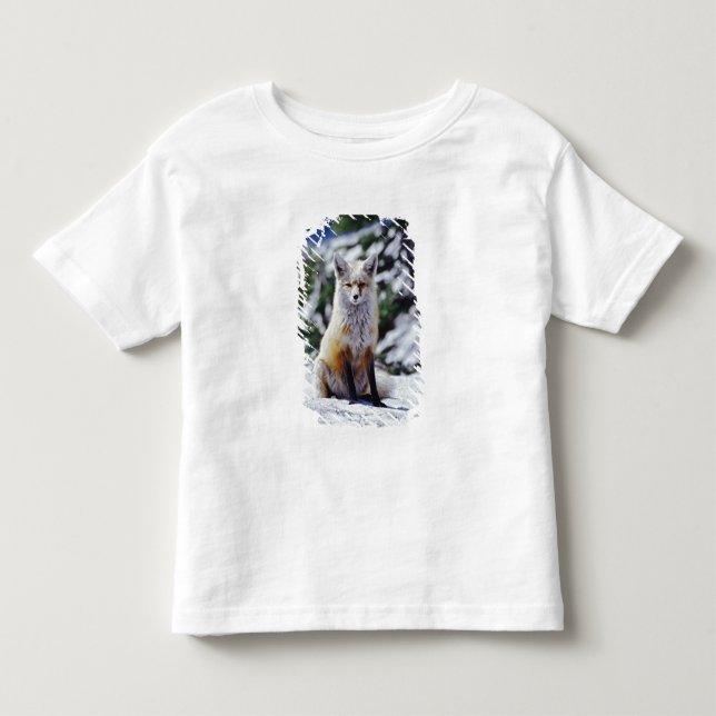 Röd räv sittande på snöbank, Vulpes, Mt. Tee Shirt (Framsida)