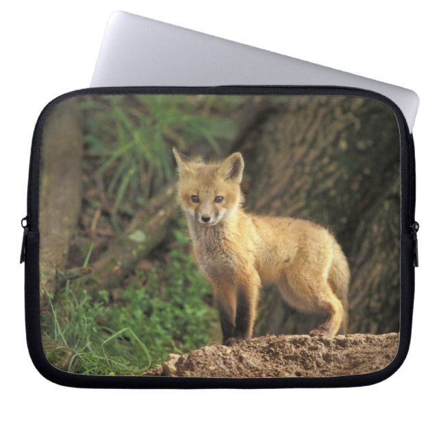 Röd räv unge framför ly (Vulpes vulpes) Laptop Sleeve (Framsidan)