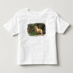 Röd räv unge framför ly (Vulpes vulpes) T Shirt