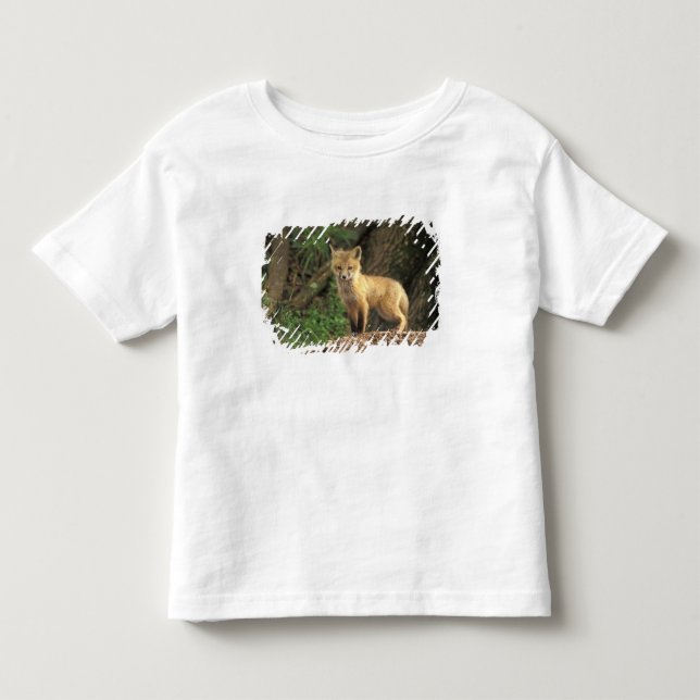 Röd räv unge framför ly (Vulpes vulpes) T Shirt (Framsida)