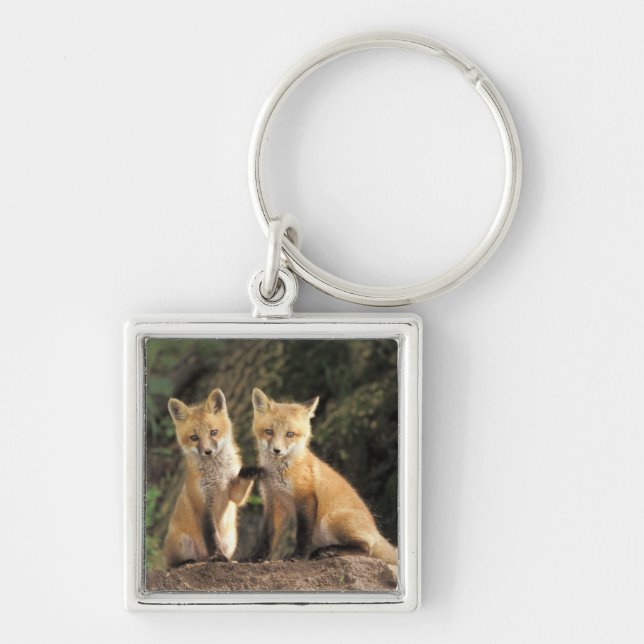 Röd räv unge framför lyan Vulpes vulpes) Fyrkantig Silverfärgad Nyckelring (Framsidan)