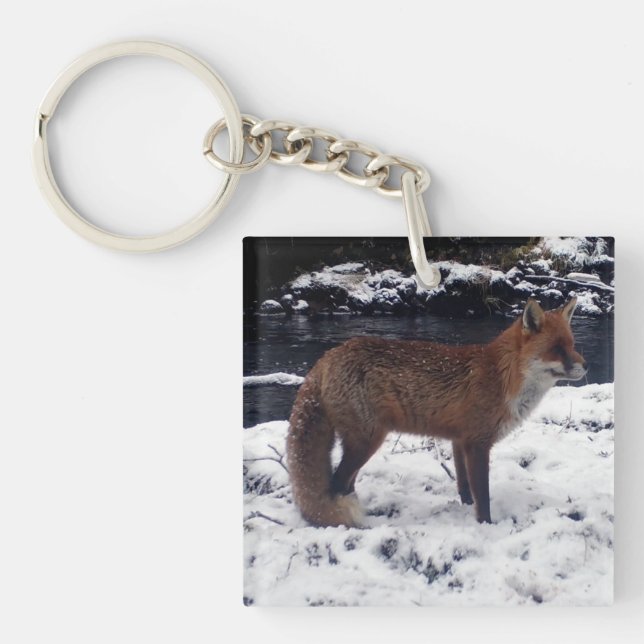Röd Räv Vilda Djur Vinter Snö Skog Djur (Framsidan)