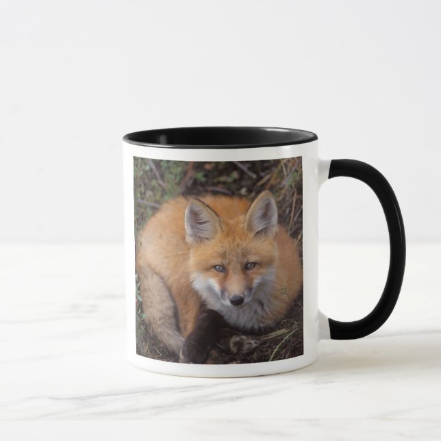röd räv, Vulpes vulpes, i höstfärger Mugg (Höger)