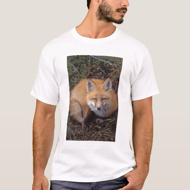 röd räv, Vulpes vulpes, i höstfärger T Shirt (Framsida)