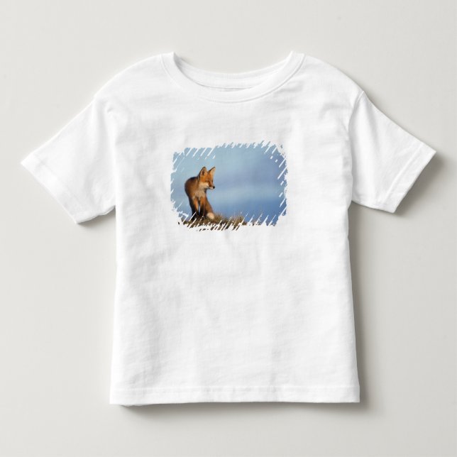 röd räv, Vulpes vulpes Tee Shirt (Framsida)