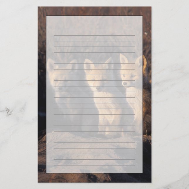 röd räv, Vulpes vulpes, ungar Brevpapper (Framsida)