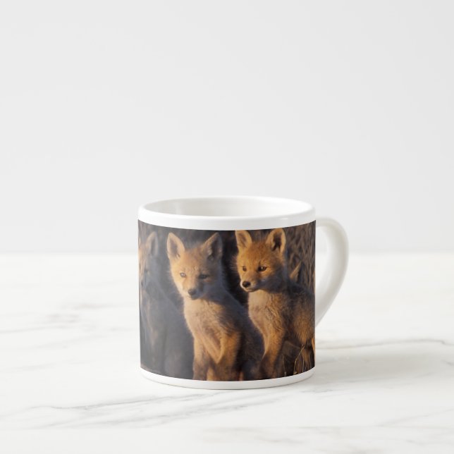 röd räv, Vulpes vulpes, ungar Espressomugg (Framsida höger)