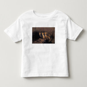 röd räv, Vulpes vulpes, ungar Tee