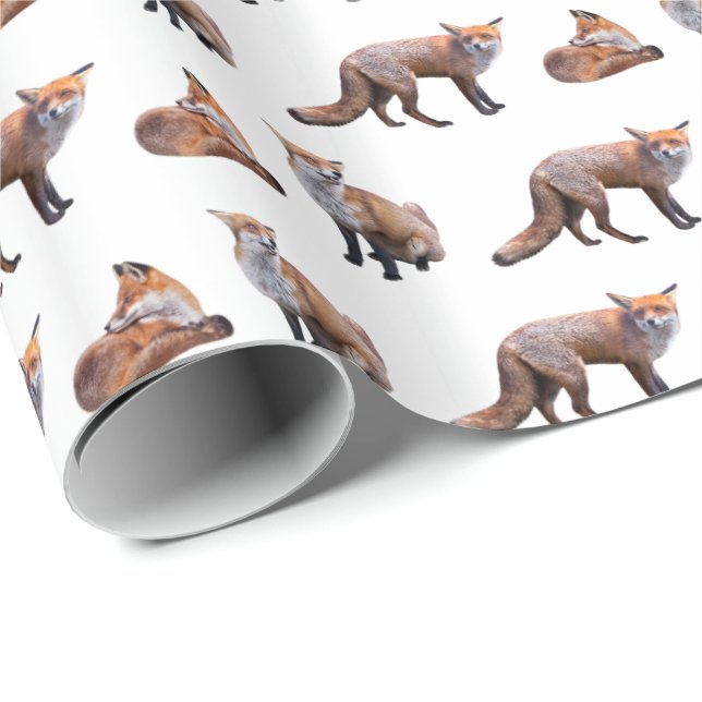 Röd rävfrenesi som slår in papper (välj färg), presentpapper (Rullad Hörn)